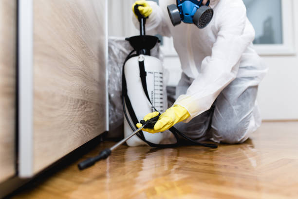 Best Exterminator Services  in Baxter Springs, KS