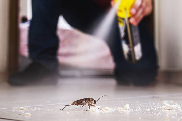 Best Pest Inspection Near Me  in Baxter Springs, KS